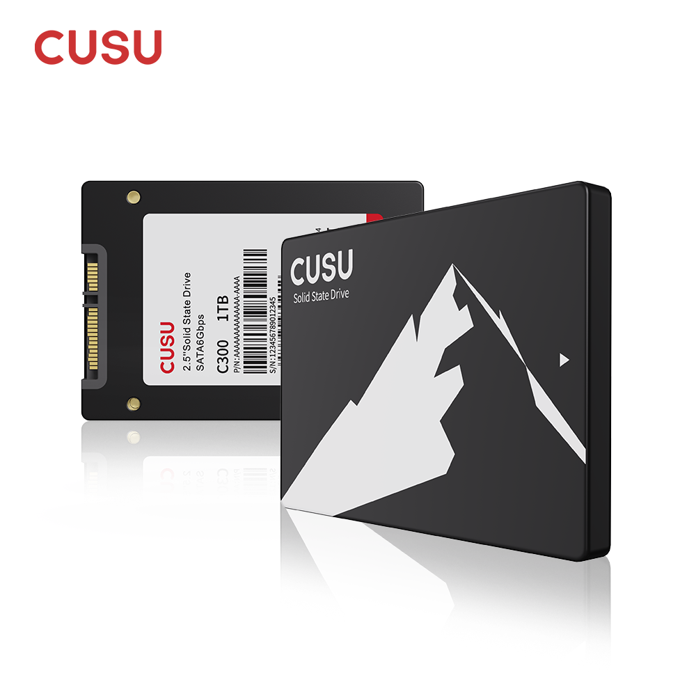 CUSU SSD 1TB 512GB 256GB 128GB - Ssd 500Gb ulasan dan harga